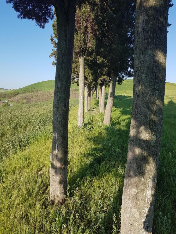 Villa Niccoli Castelfiorentino Luaran gambar