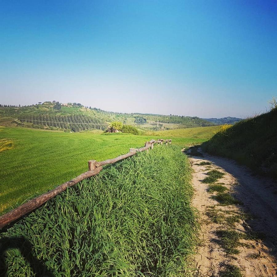 Villa Niccoli Castelfiorentino Luaran gambar