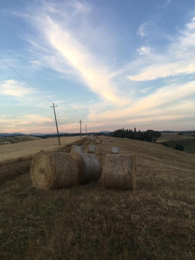 Villa Niccoli Castelfiorentino Luaran gambar