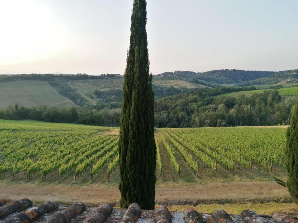 Villa Niccoli Castelfiorentino Luaran gambar